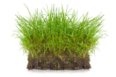 Smart Garden Smart Garden